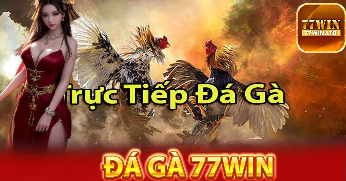 Một số hình thức đặt cược đối với hình thức đá gà 77Win